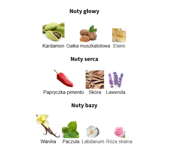 Afnan 9 PM Elixir - odlewka perfum