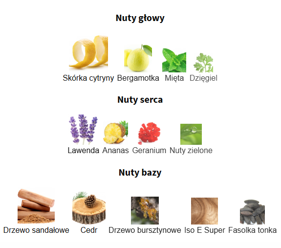 CHANEL BLEU DE CHANEL Parfum - odlewka perfum