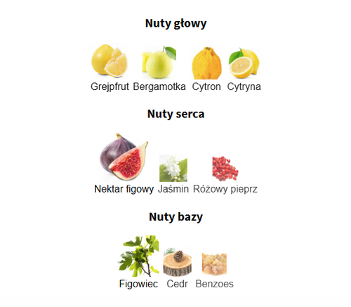 Acqua di Parma Blu Mediterraneo Fico di Amalfi - odlewka perfum