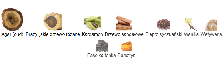 TOM FORD Oud Wood Eau de Parfum - odlewka perfum